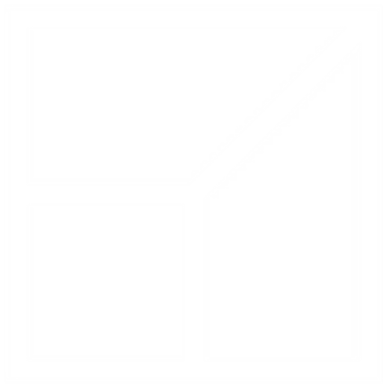 Government Logo